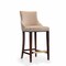 Manhattan Comfort Shubert Barstool in Tan - Set of 2 2-BS019-TN - alternate 4